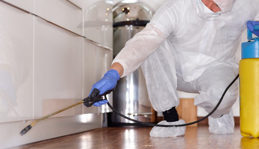 Mold Remediation